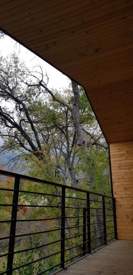 Vivelodge Las Trancas Bagian luar foto